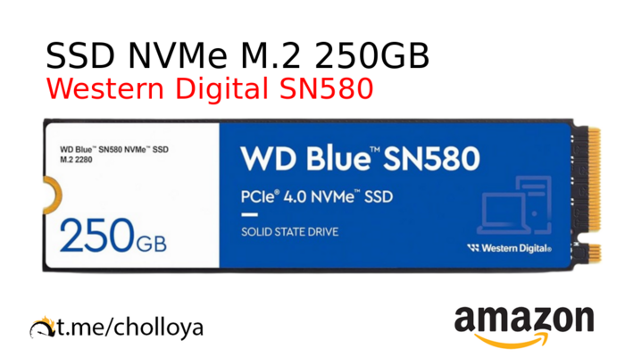 SSD NVMe M.2 250GB