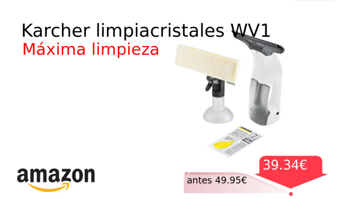 Karcher limpiacristales WV1