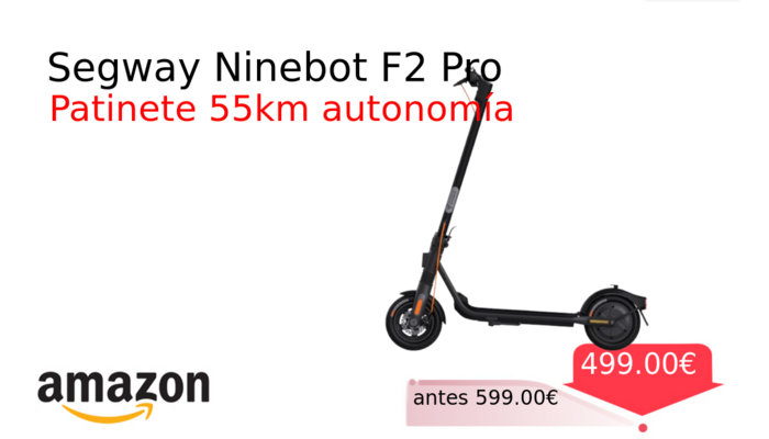 Segway Ninebot F2 Pro