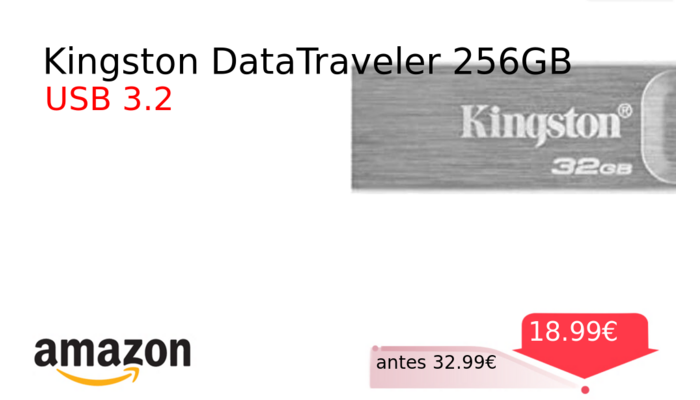 Kingston DataTraveler 256GB