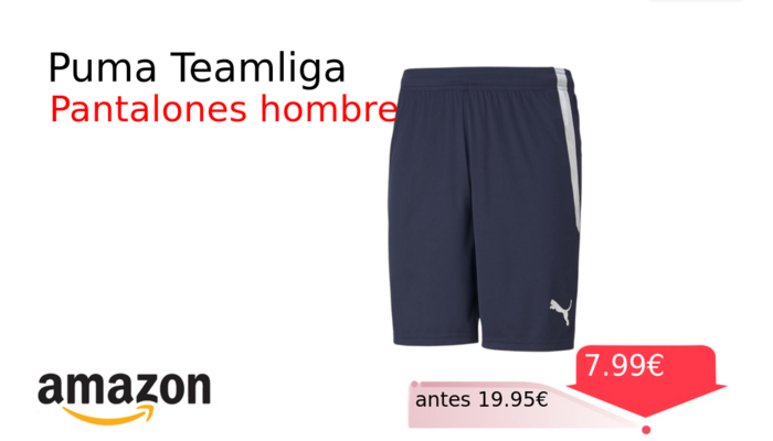 Puma Teamliga