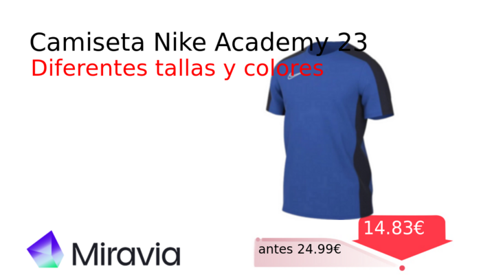 Camiseta Nike Academy 23