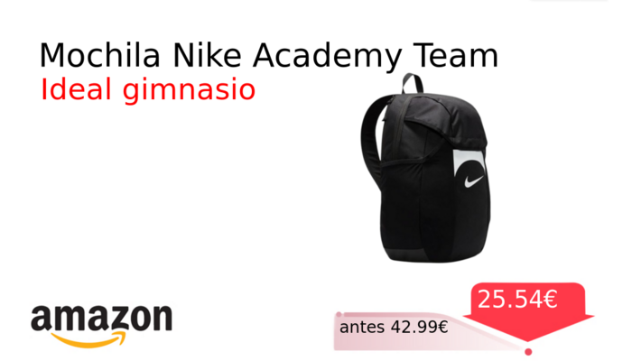 Mochila Nike Academy Team