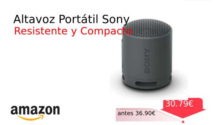 Altavoz Portátil Sony