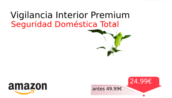 Vigilancia Interior Premium