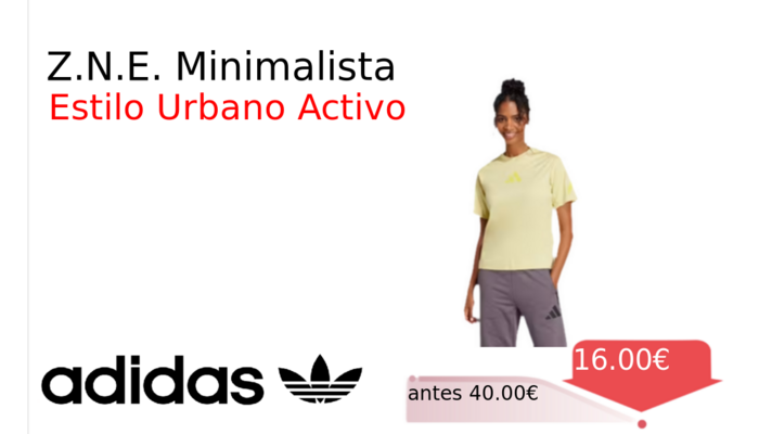 Z.N.E. Minimalista