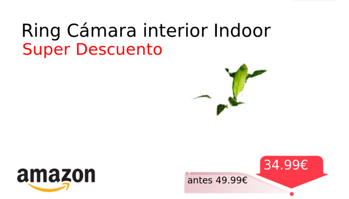 Ring Cámara interior Indoor