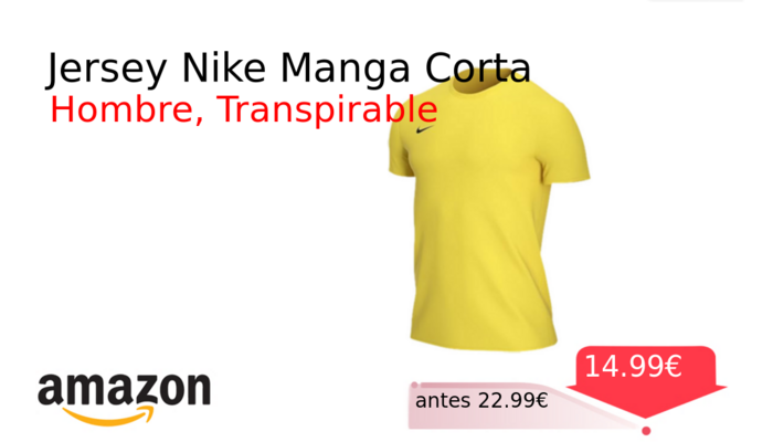 Jersey Nike Manga Corta