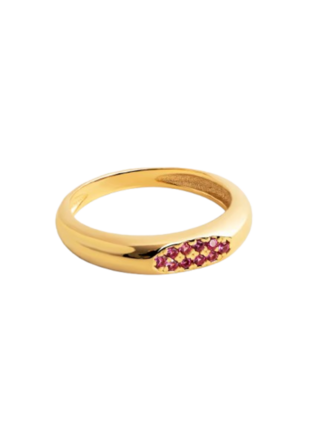 Anillo Singularu Raspberry