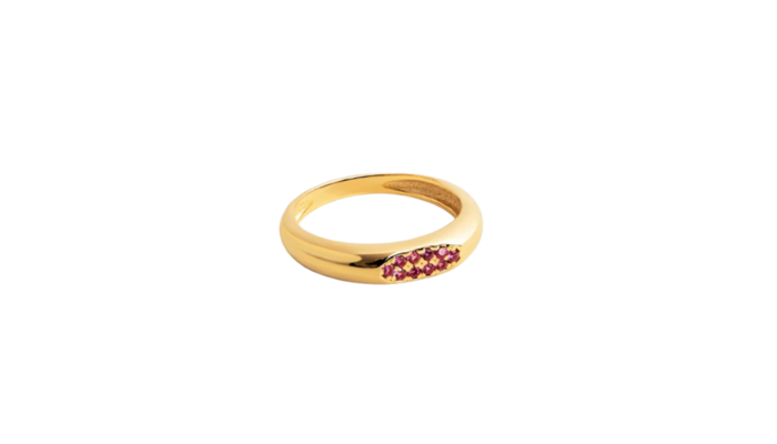 Anillo Singularu Raspberry