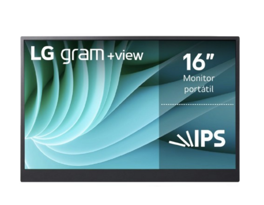 Monitor LG Gram Externo