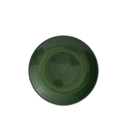 Plato Spinwash Diario