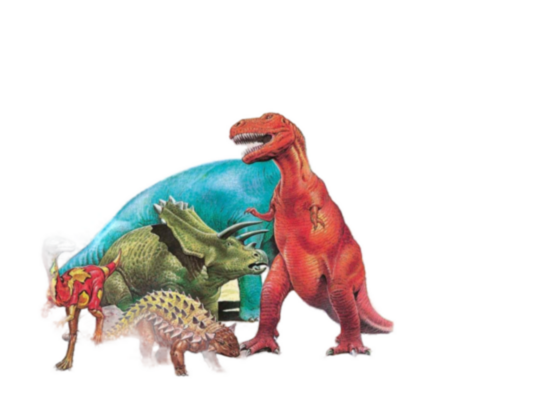 Educa Puzzle Premium