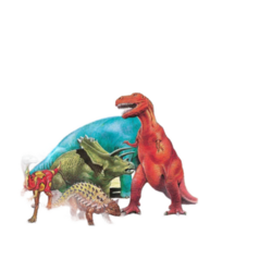 Educa Puzzle Premium