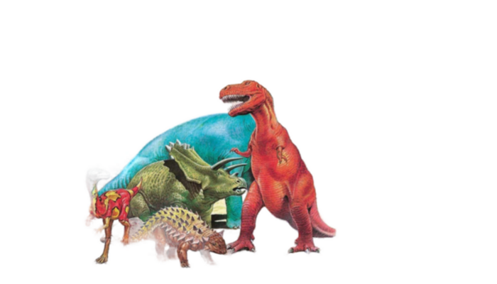 Educa Puzzle Premium