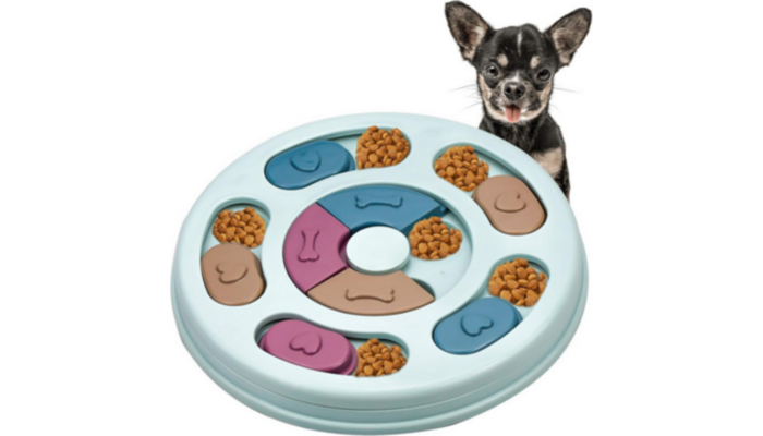 Dispensador Canino Educativo