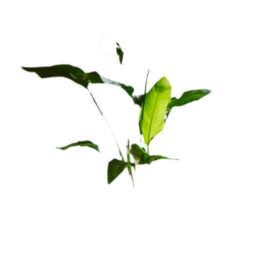 Cámara Interior Ring 2G