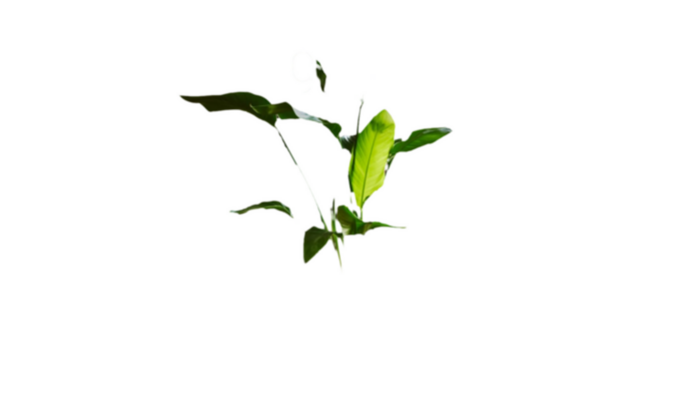 Cámara Interior Ring 2G