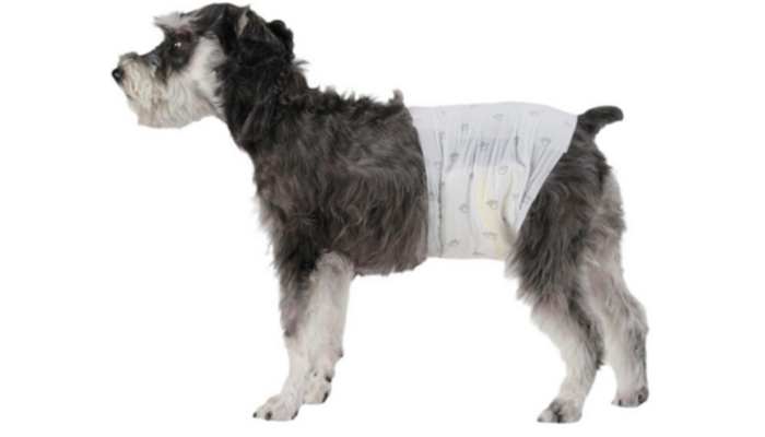 Protección Canina Esencial