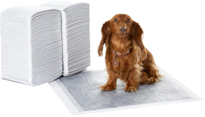 Almohadillas Entrenamiento