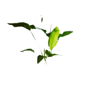 Cámara Interior Ring 2G