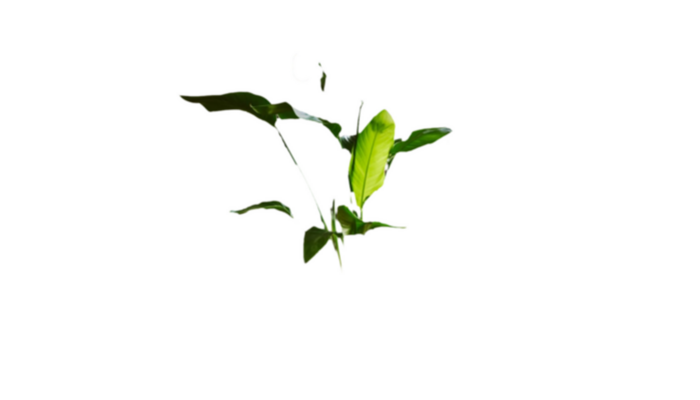 Cámara Interior Ring 2G