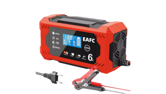 Cargador Inteligente 6A