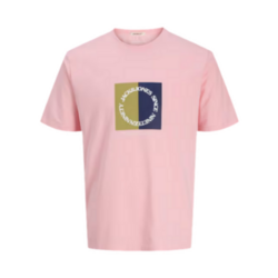 Camiseta Niño Estampada