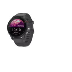 Garmin Forerunner 255