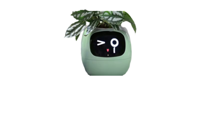 Macetero Inteligente IA