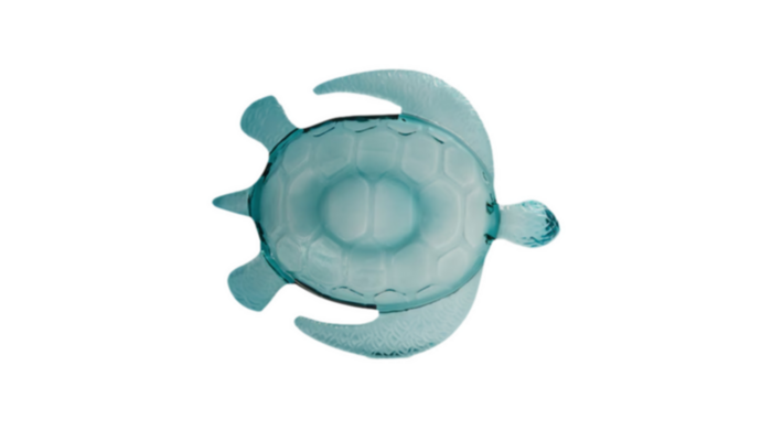 Tortuga Marina Acrílica