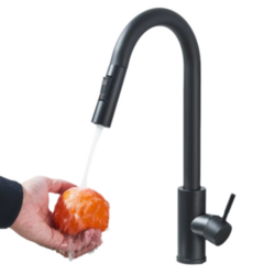 Grifo Cocina Extraíble Dual