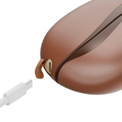 Calentador Magnético 3