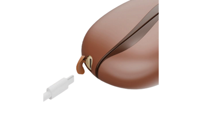 Calentador Magnético 3