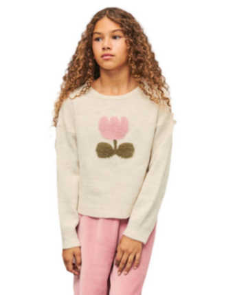 Jersey Fantasía Intarsia