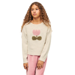 Jersey Fantasía Intarsia