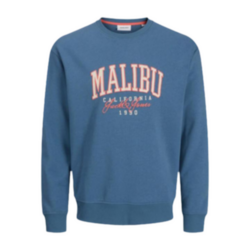 Sudadera Detroit Bordada