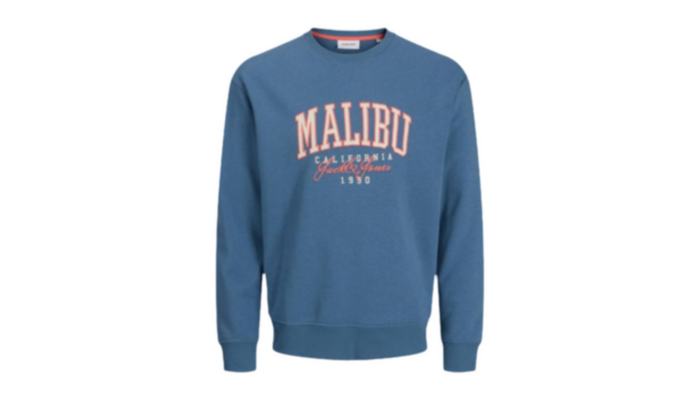 Sudadera Detroit Bordada