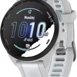 Garmin forerunner 165