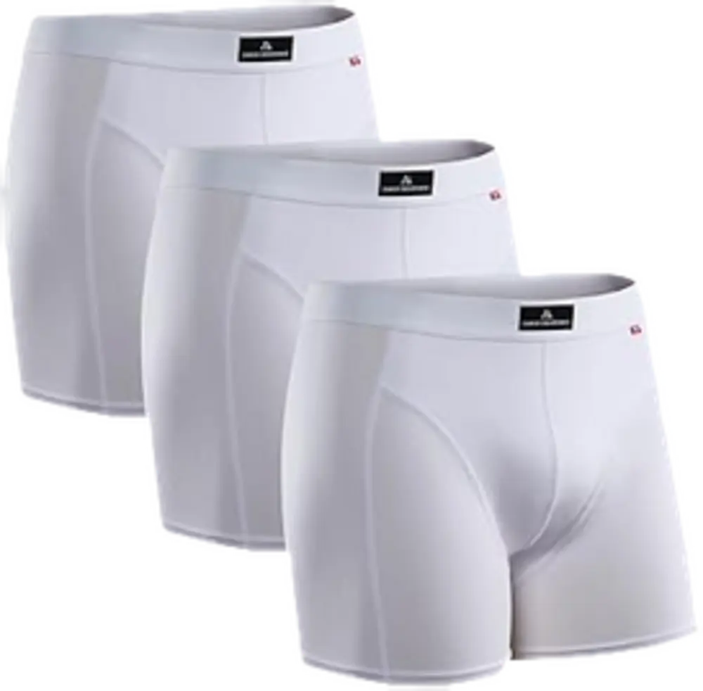 Boxers danish endurance