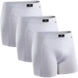 Boxers danish endurance