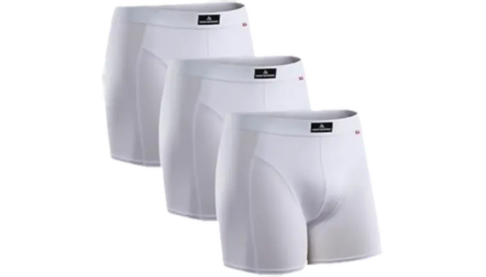 Boxers danish endurance