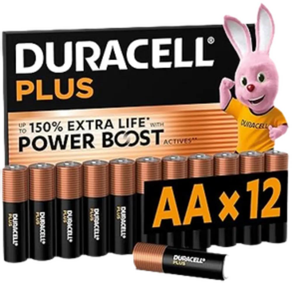 Pilas Duracell Plus Aa