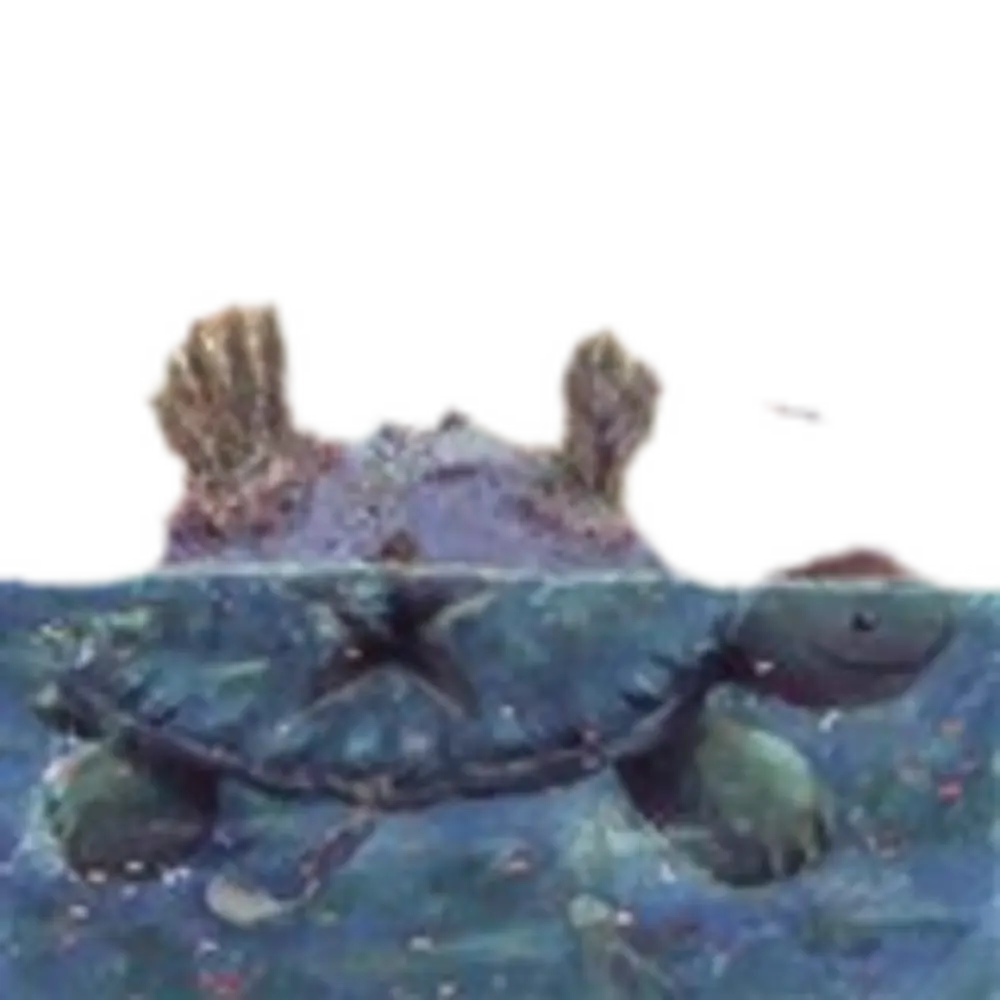 Manual Para Seres Maravillosos