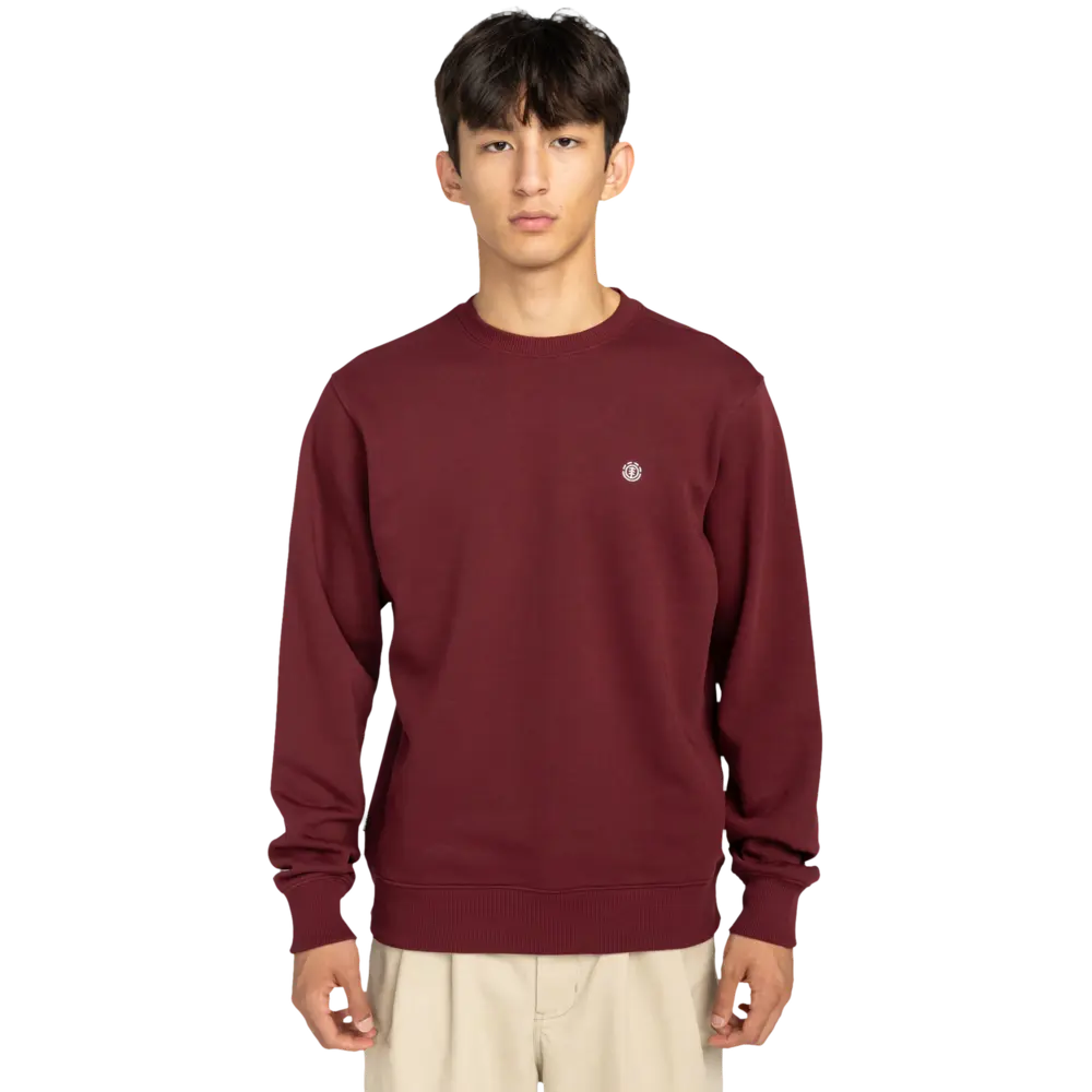 Sudadera Icon Embroidery Cr