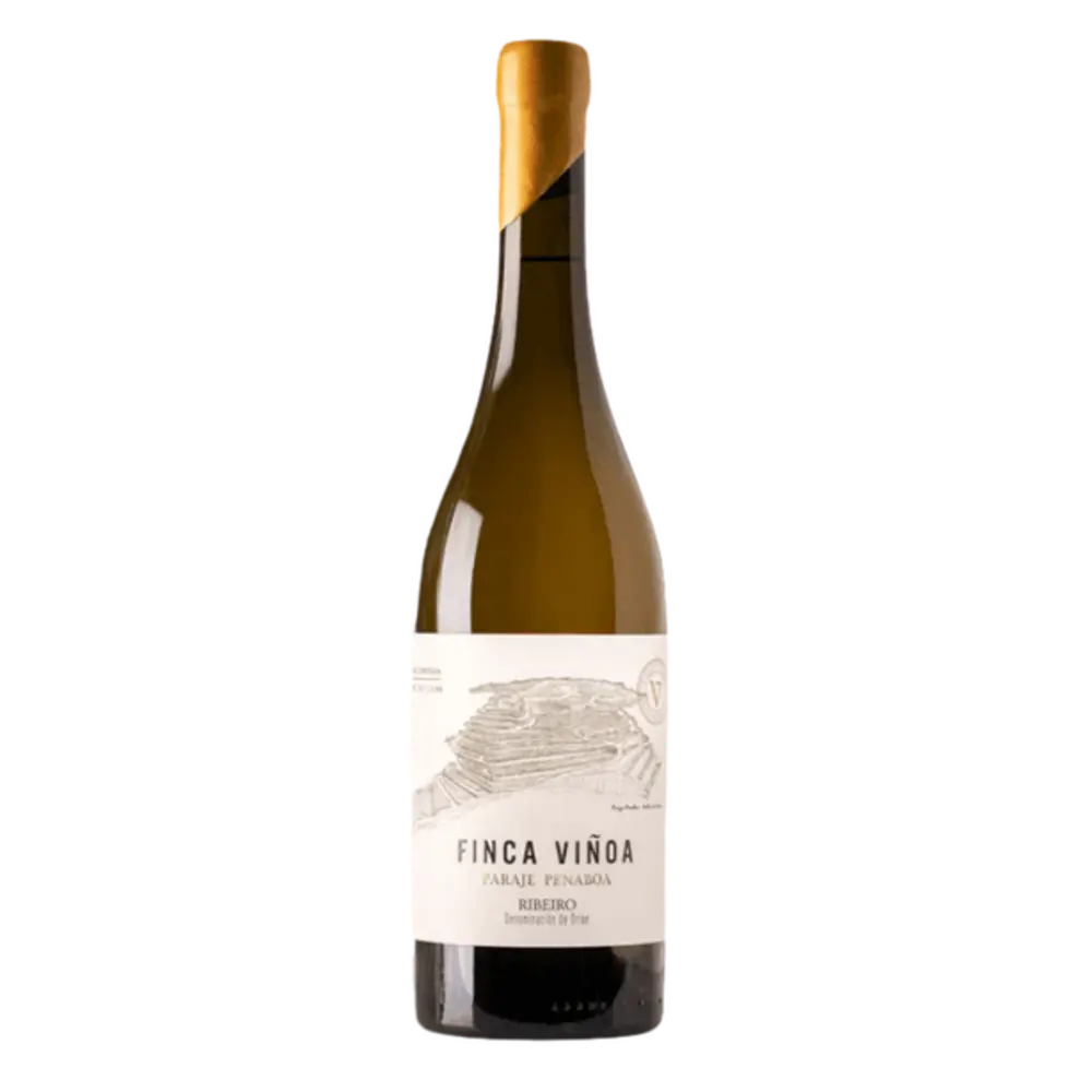 Pazo Casanova Viñoa 2020