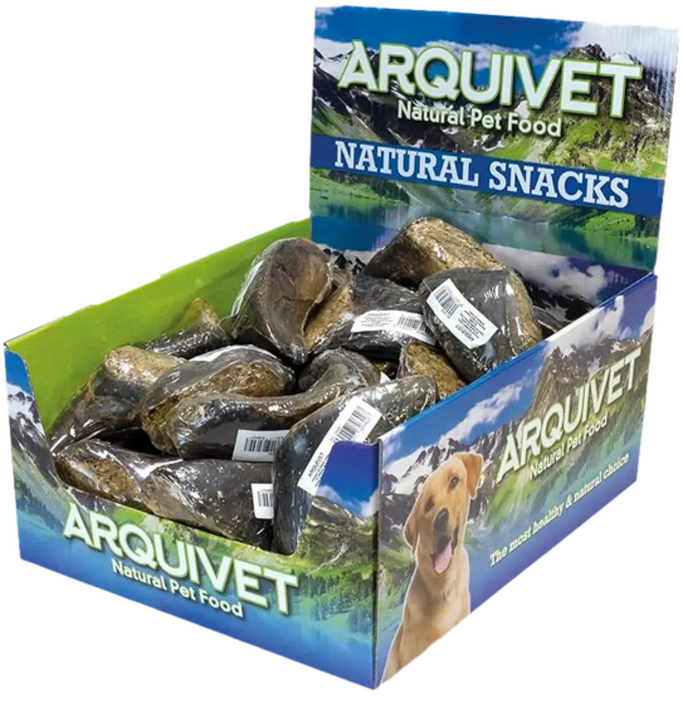 Arquivet Pezuña de Búfalo