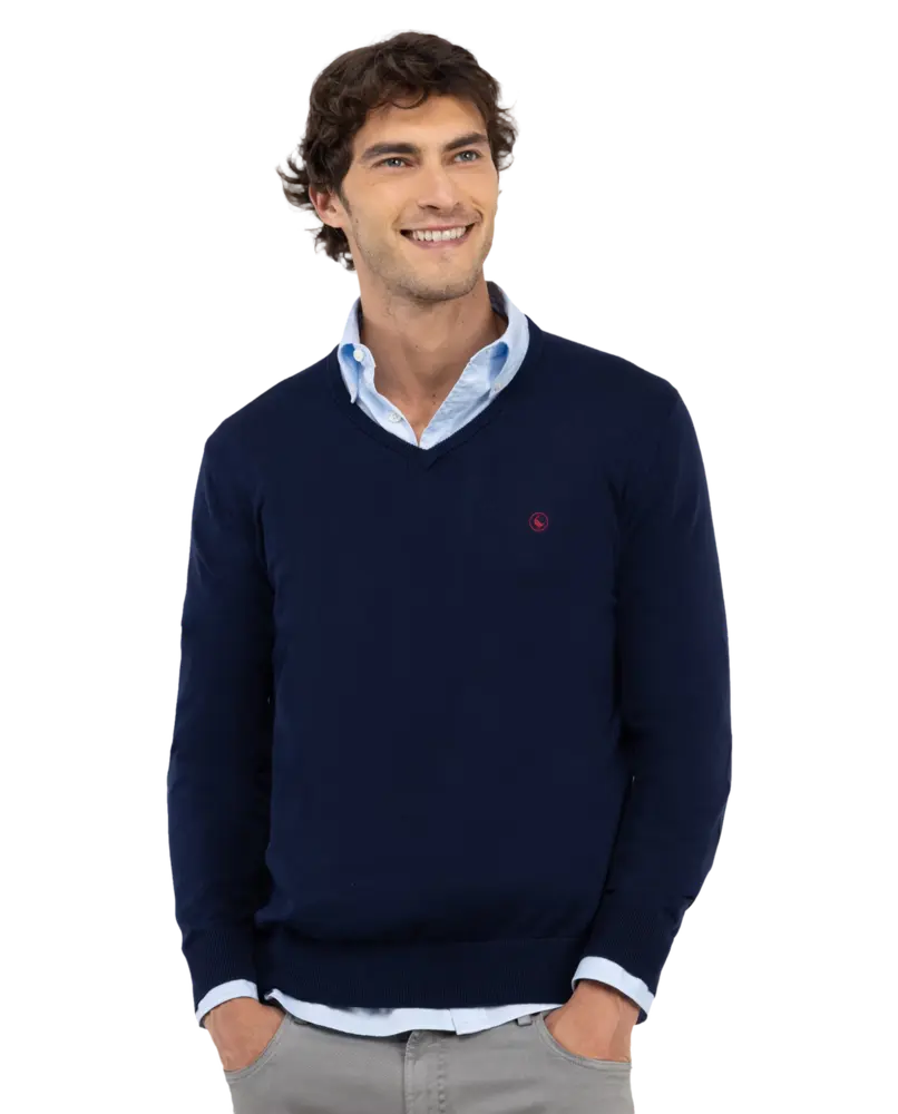 Jersey El Ganso Cuello Pico