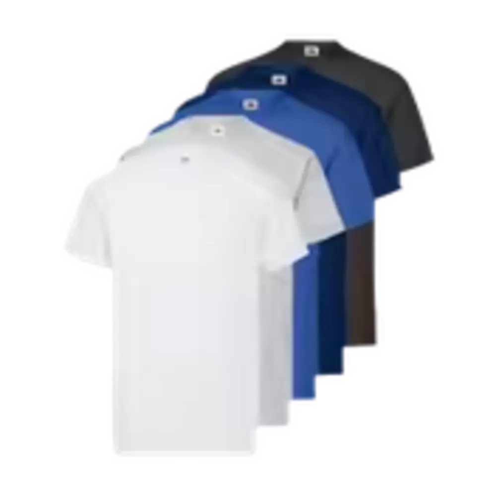 Pack 5 Camisetas Fruit Of The