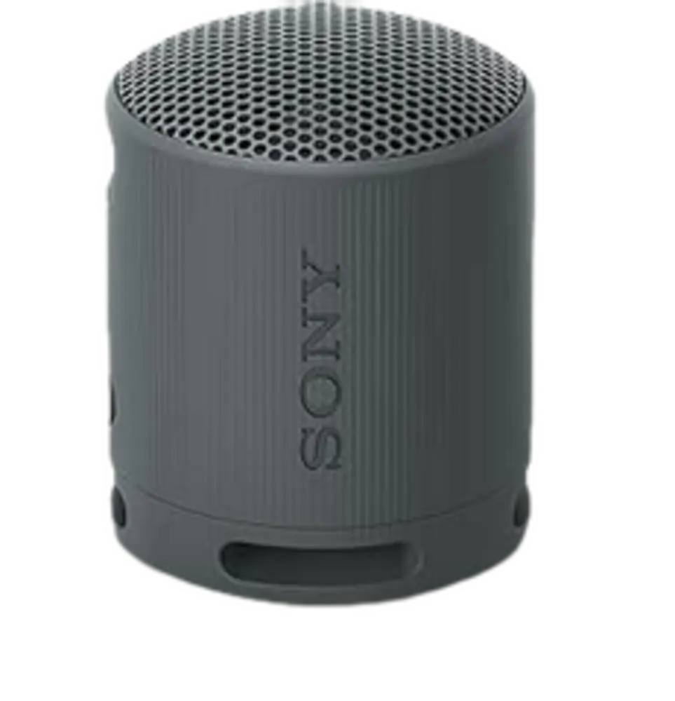 Sony SRS-XB100 Altavoz Portátil